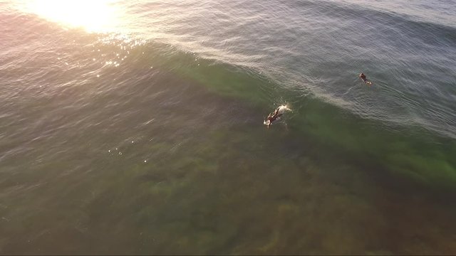 Aerial and Surf Footage Curl Curl Beach Sydney Australia