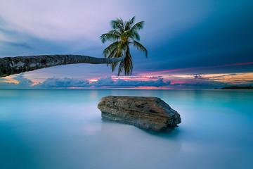 tropical island at night