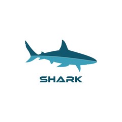 Fototapeta premium Sea fish of shark icon isolated on white background