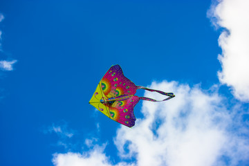 A bright kite is flying into the sky in summer outdoors: vacation in the park.