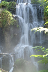 Fototapeta na wymiar waterfall in the forest wallpaper background