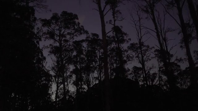 Driving through the dark and scary forest after sunset (60fps)