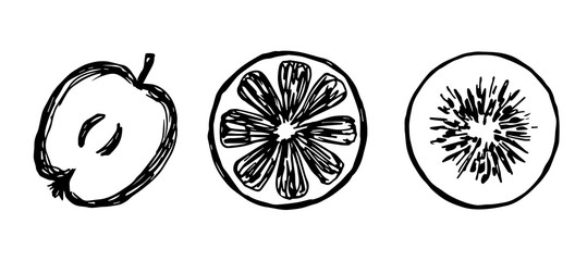 Simple vector ink drawing by hand. Black outline cut fruit, slice apple, lemon, orange, kiwi. For labels, stickers, seasonal harvest, healthy farm product, vegetarianism.