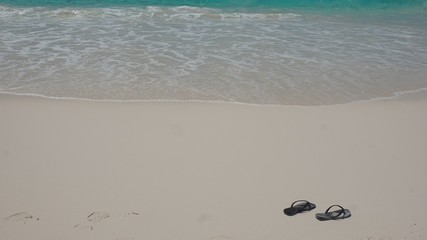 tropical seychelles island