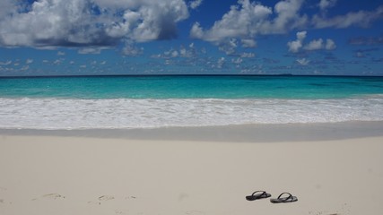 tropical seychelles island