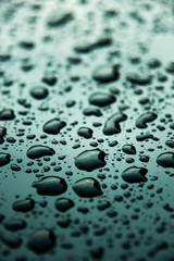 Abstract Background of raindrop early morning after heavy  rain
