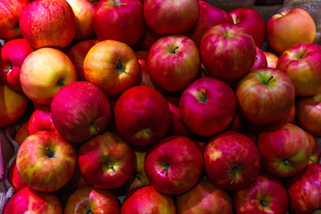 red apple background.organic apple in market.