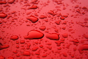 Abstract Background of raindrop early morning after heavy  rain