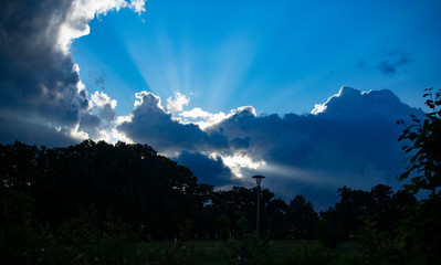 built animals in the clouds blue sky dark silhouette