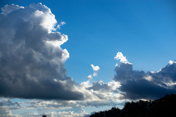built animals in the clouds blue sky dark silhouette
