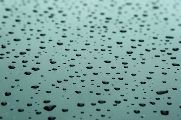 Abstract Background of raindrop early morning after heavy  rain