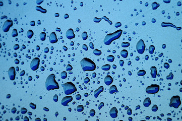 Abstract Background of raindrop early morning after heavy  rain