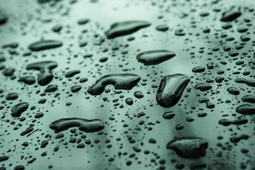 Abstract Background of raindrop early morning after heavy  rain