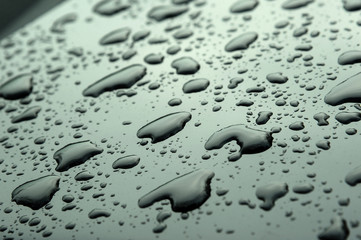 Abstract Background of raindrop early morning after heavy  rain