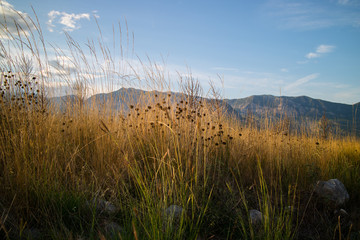 nice landscape in the Montenegro
