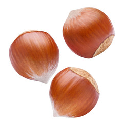 Flying delicious hazelnuts, isolated on white background