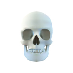 human skull isolated on white
