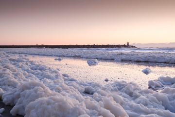 Sea foam, a habitat for marine microorganisms such as zooplankton, phytoplankton, algae, and protozoans. On coastal beach at sunset