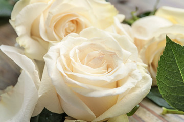 Beautiful white roses, closeup view