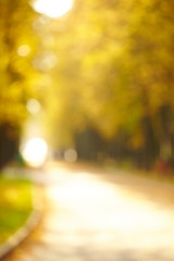 autumn days in the park