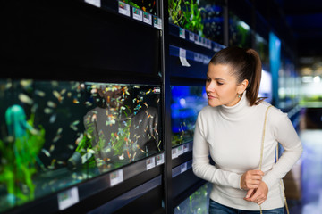 Woman looking at aquarium fish in pet shop