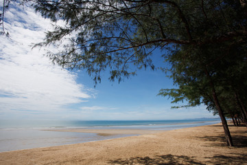 Fototapeta na wymiar Sunny Day By The Beach With Sandy Beach With Shade Trees. Time To Relax. There Are Pine Cones Under The Pine Tree. Breeze. Good Vibe. Morning Scene By The Beach.Beach in Thailand.