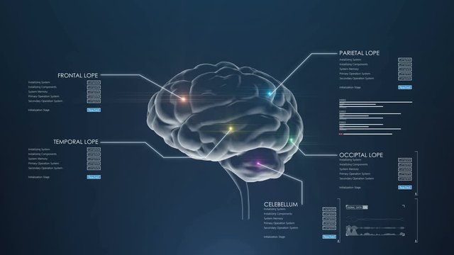 the human brain with the medical interface