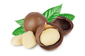 macadamia nuts isolated on white background with clipping path and full depth of field