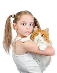 Young cute girl with grey blue eyes and two hair tails with red fluffy cat isolated on white background - 353064432
