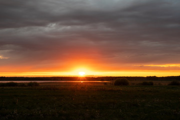 Fire red and orange sunset dark gray clouds, field in the foreground, black trees in the background