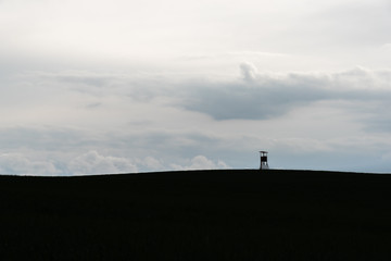 Deer stand as a silhouette in front of a cloudy sky