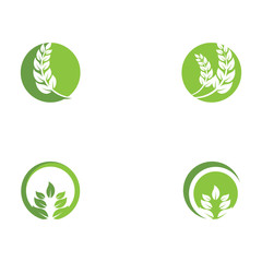 Set Leaf Logo Template vector