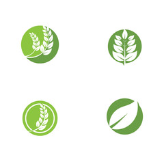 Set Leaf Logo Template vector