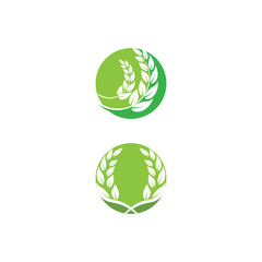 Leaf Logo Template vector symbol