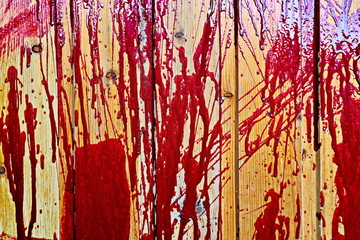 Painted wooden planks and cutaway wood structure used as a base and backgrounds.