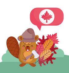 Beaver with canadian leaves and hat vector design