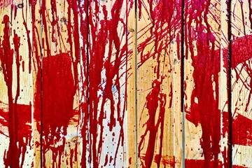 Painted wooden planks and cutaway wood structure used as a base and backgrounds.