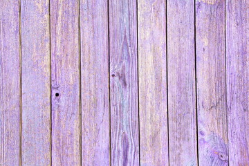 Painted wooden planks and cutaway wood structure used as a base and backgrounds.