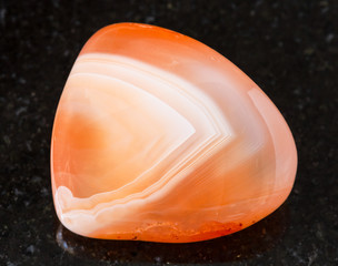 closeup of sample of natural mineral from geological collection - polished Carnelian (Cornelian)...