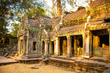 Obraz premium Piękny widok na świątynię Ta Phrom w Siem Reap w Kambodży.