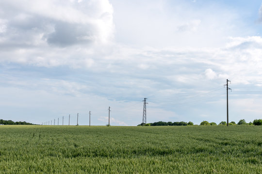 A fresh landscape of a line of electric poles with cables of electricity in a green wheat field with a forest in background.