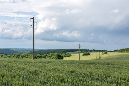 A fresh landscape of a line of electric poles with cables of electricity in a green wheat field with a forest in background.
