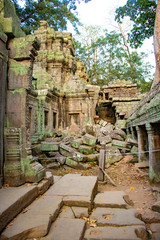 Naklejka premium A beautiful view of Ta Phrom temple at Siem Reap, Cambodia.