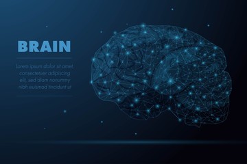 Futuristic glowing low polygonal human brain anatomy model made of stars, lines, dots, triangles isolated on dark blue background. Artificial intelligence and neurology concept.