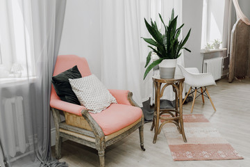 Vintage mid-century wooden pink armchair with accent pillows and wooden plant stand with bowstring hemp plant in concrete flower pot with rug lying on wooden floor,minimalist modern interior concept.