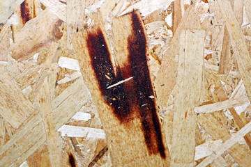 Wood shavings pressed into slabs used as a base and backdrop.
