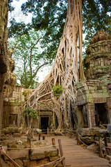 A beautiful view of Ta Phrom temple at Siem Reap, Cambodia.