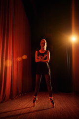 Fototapeta na wymiar Portrait of a young ballerina on stage
