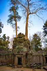 A beautiful view of Ta Phrom temple at Siem Reap, Cambodia.