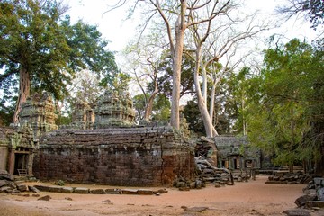 A beautiful view of Ta Phrom temple at Siem Reap, Cambodia.